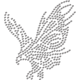 Flying Eagle Rhinestone Iron-on Transfer for Mask